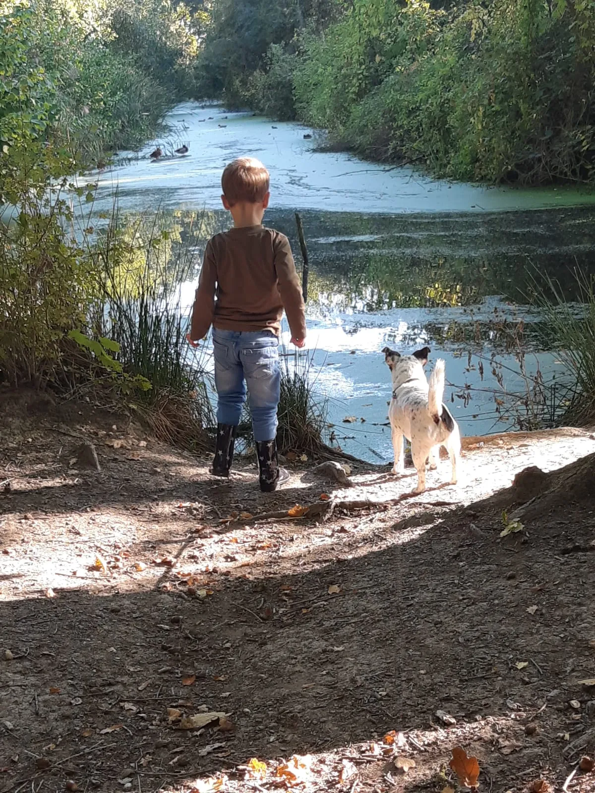 Pequeño Explorador y Su Fiel Amigo Junto al Estanque Patrón de Punto de Cruz